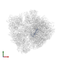Large ribosomal subunit protein uL6 in PDB entry 6bz7, assembly 1, front view.