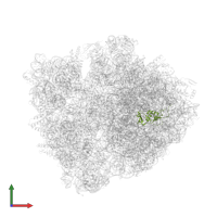 Large ribosomal subunit protein uL13 in PDB entry 6bz7, assembly 1, front view.