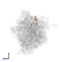 Large ribosomal subunit protein uL15 in PDB entry 6bz7, assembly 1, side view.
