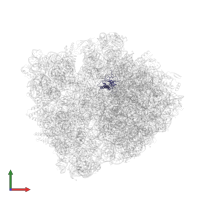 Large ribosomal subunit protein uL16 in PDB entry 6bz7, assembly 1, front view.