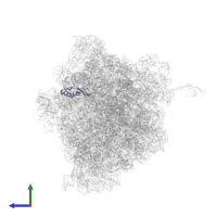Large ribosomal subunit protein uL16 in PDB entry 6bz7, assembly 1, side view.