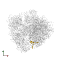Large ribosomal subunit protein bL19 in PDB entry 6bz7, assembly 1, front view.