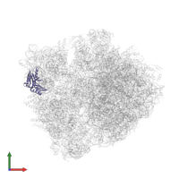 Small ribosomal subunit protein uS3 in PDB entry 6bz7, assembly 1, front view.