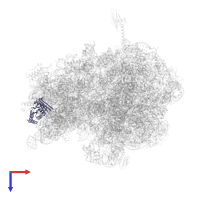 Small ribosomal subunit protein uS3 in PDB entry 6bz7, assembly 1, top view.