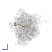 Large ribosomal subunit protein bL20 in PDB entry 6bz7, assembly 1, side view.