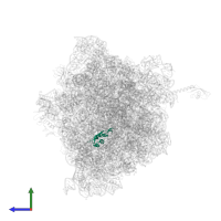 Large ribosomal subunit protein uL22 in PDB entry 6bz7, assembly 1, side view.