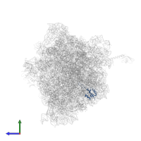 Large ribosomal subunit protein uL23 in PDB entry 6bz7, assembly 1, side view.