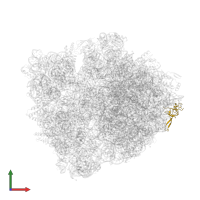 Large ribosomal subunit protein uL24 in PDB entry 6bz7, assembly 1, front view.