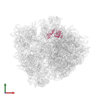 Large ribosomal subunit protein bL25 in PDB entry 6bz7, assembly 1, front view.