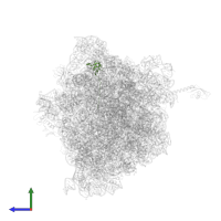 Large ribosomal subunit protein bL27 in PDB entry 6bz7, assembly 1, side view.