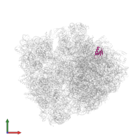 Large ribosomal subunit protein uL30 in PDB entry 6bz7, assembly 1, front view.