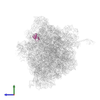 Large ribosomal subunit protein uL30 in PDB entry 6bz7, assembly 1, side view.