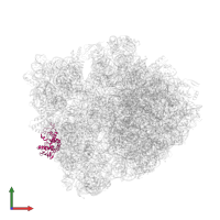 Small ribosomal subunit protein uS4 in PDB entry 6bz7, assembly 1, front view.