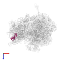 Small ribosomal subunit protein uS4 in PDB entry 6bz7, assembly 1, top view.