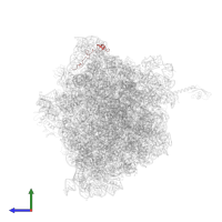 Large ribosomal subunit protein bL31 in PDB entry 6bz7, assembly 1, side view.
