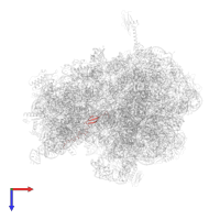 Large ribosomal subunit protein bL31 in PDB entry 6bz7, assembly 1, top view.