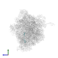 Large ribosomal subunit protein bL32 in PDB entry 6bz7, assembly 1, side view.