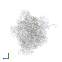 Large ribosomal subunit protein bL33 in PDB entry 6bz7, assembly 1, side view.