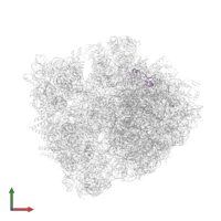 Large ribosomal subunit protein bL35 in PDB entry 6bz7, assembly 1, front view.