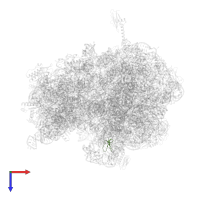 Large ribosomal subunit protein bL36 in PDB entry 6bz7, assembly 1, top view.