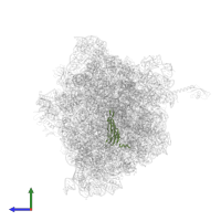 Small ribosomal subunit protein uS5 in PDB entry 6bz7, assembly 1, side view.