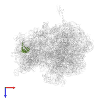 Small ribosomal subunit protein uS5 in PDB entry 6bz7, assembly 1, top view.