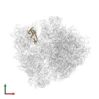 Small ribosomal subunit protein uS7 in PDB entry 6bz7, assembly 1, front view.