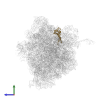 Small ribosomal subunit protein uS7 in PDB entry 6bz7, assembly 1, side view.