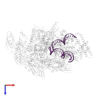 DNA (26-MER) in PDB entry 6c04, assembly 1, top view.