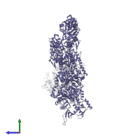 Actin, alpha skeletal muscle in PDB entry 6c1g, assembly 1, side view.