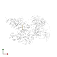JARID2-substrate in PDB entry 6c23, assembly 1, front view.