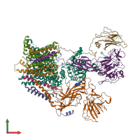 PDB entry 6c26 coloured by chain, front view.