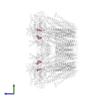 ADENOSINE-5'-DIPHOSPHATE in PDB entry 6c3o, assembly 1, side view.