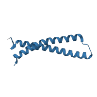 The deposited structure of PDB entry 6c48 contains 2 copies of Pfam domain PF19438 (LIN9 C-terminal) in Protein lin-9 homolog. Showing 1 copy in chain B [auth D].