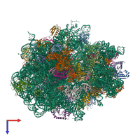 PDB entry 6c4i coloured by chain, top view.