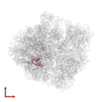 Large ribosomal subunit protein uL3 in PDB entry 6c4i, assembly 1, front view.