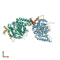 3D model of 6c62 from PDBe