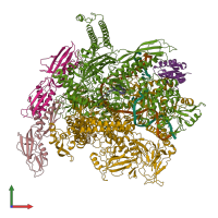 PDB entry 6c6u coloured by chain, front view.