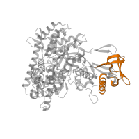 The deposited structure of PDB entry 6c7b contains 1 copy of Pfam domain PF20658 (Malate synthase G, alpha-beta insertion domain) in Malate synthase G. Showing 1 copy in chain A.