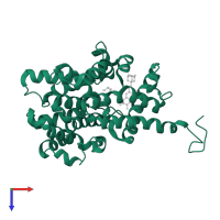 cGMP-dependent 3',5'-cyclic phosphodiesterase in PDB entry 6c7g, assembly 1, top view.