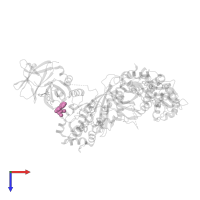 STAUROSPORINE in PDB entry 6c9g, assembly 1, top view.