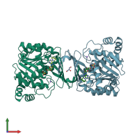 PDB entry 6c9v coloured by chain, front view.