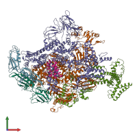 PDB entry 6c9y coloured by chain, front view.