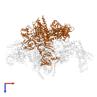 DNA-directed RNA polymerase subunit beta in PDB entry 6c9y, assembly 1, top view.