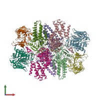 PDB entry 6caj coloured by chain, front view.
