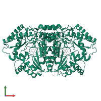 Putative glutamate-1-semialdehyde aminotransferase in PDB entry 6cbo, assembly 2, front view.