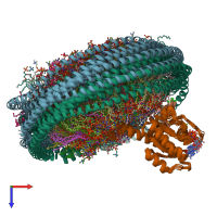 PDB entry 6cc9 coloured by chain, ensemble of 10 models, top view.