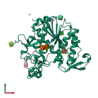 PDB entry 6cci coloured by chain, front view.