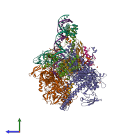 Hetero undecameric assembly 1 of PDB entry 6ccv coloured by chemically distinct molecules, side view.