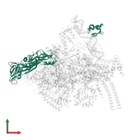 DNA-directed RNA polymerase subunit alpha in PDB entry 6ccv, assembly 1, front view.
